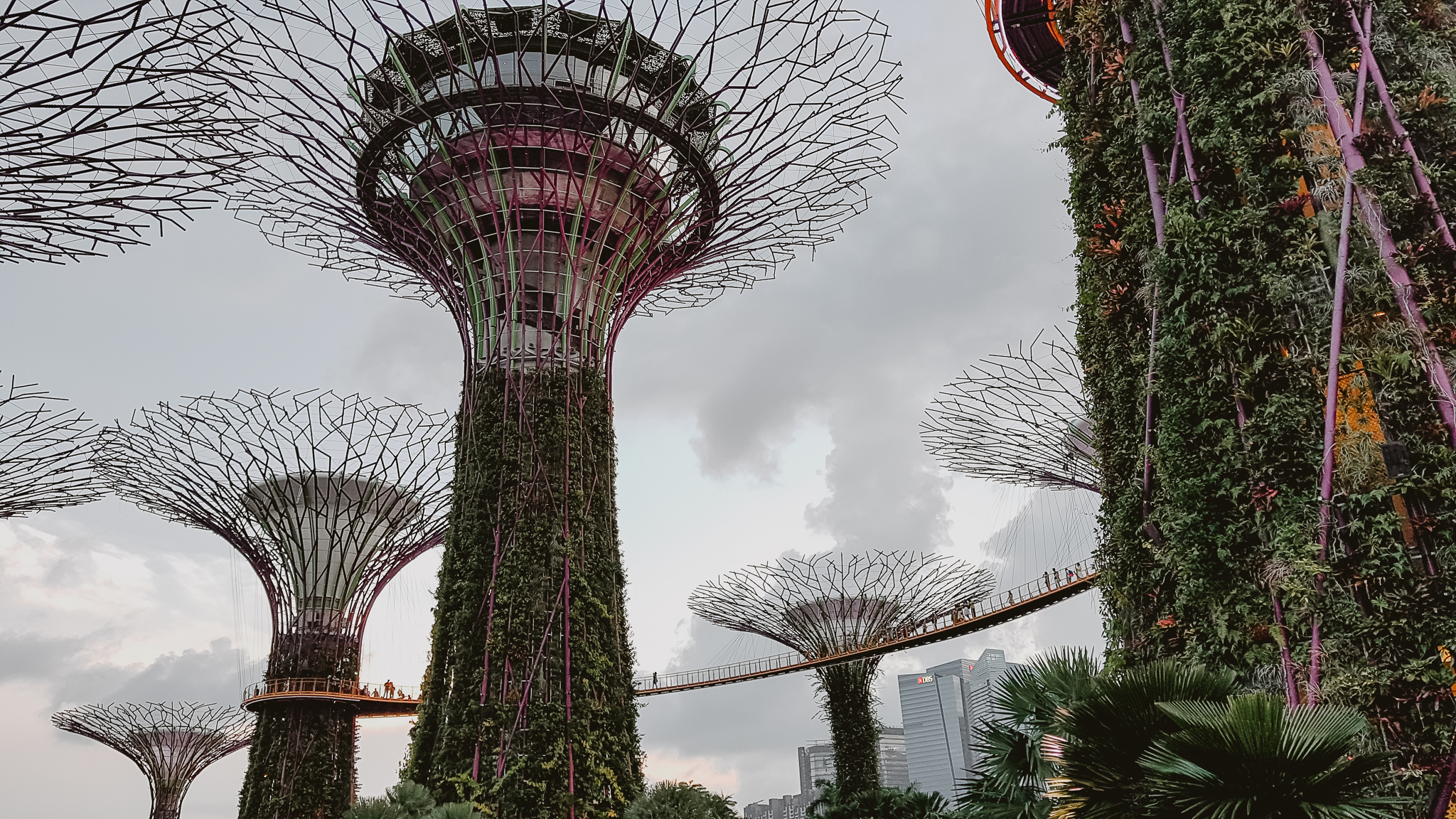 singapur garden by the bay ogrody