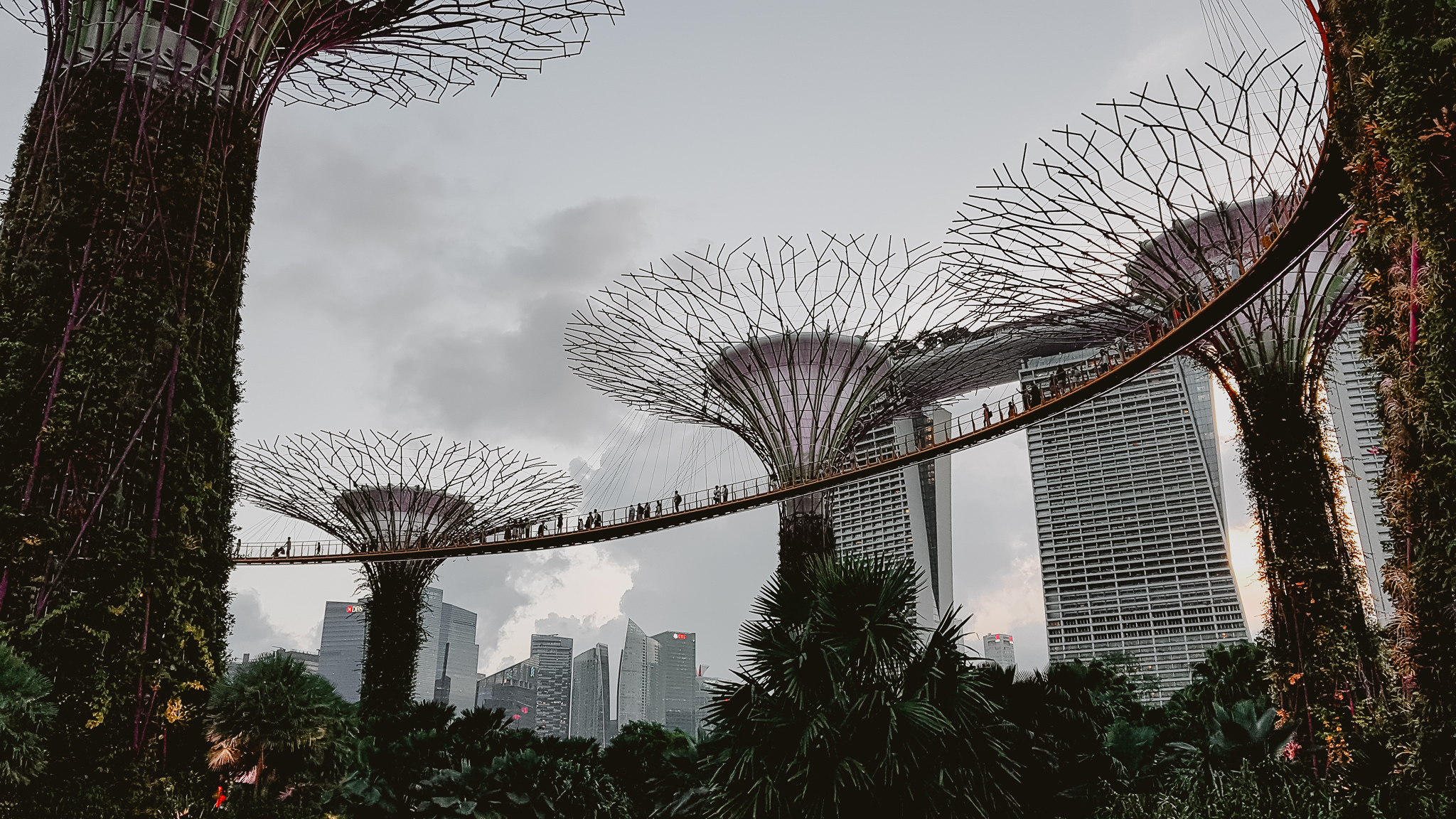 singapur ogród garden by the bay