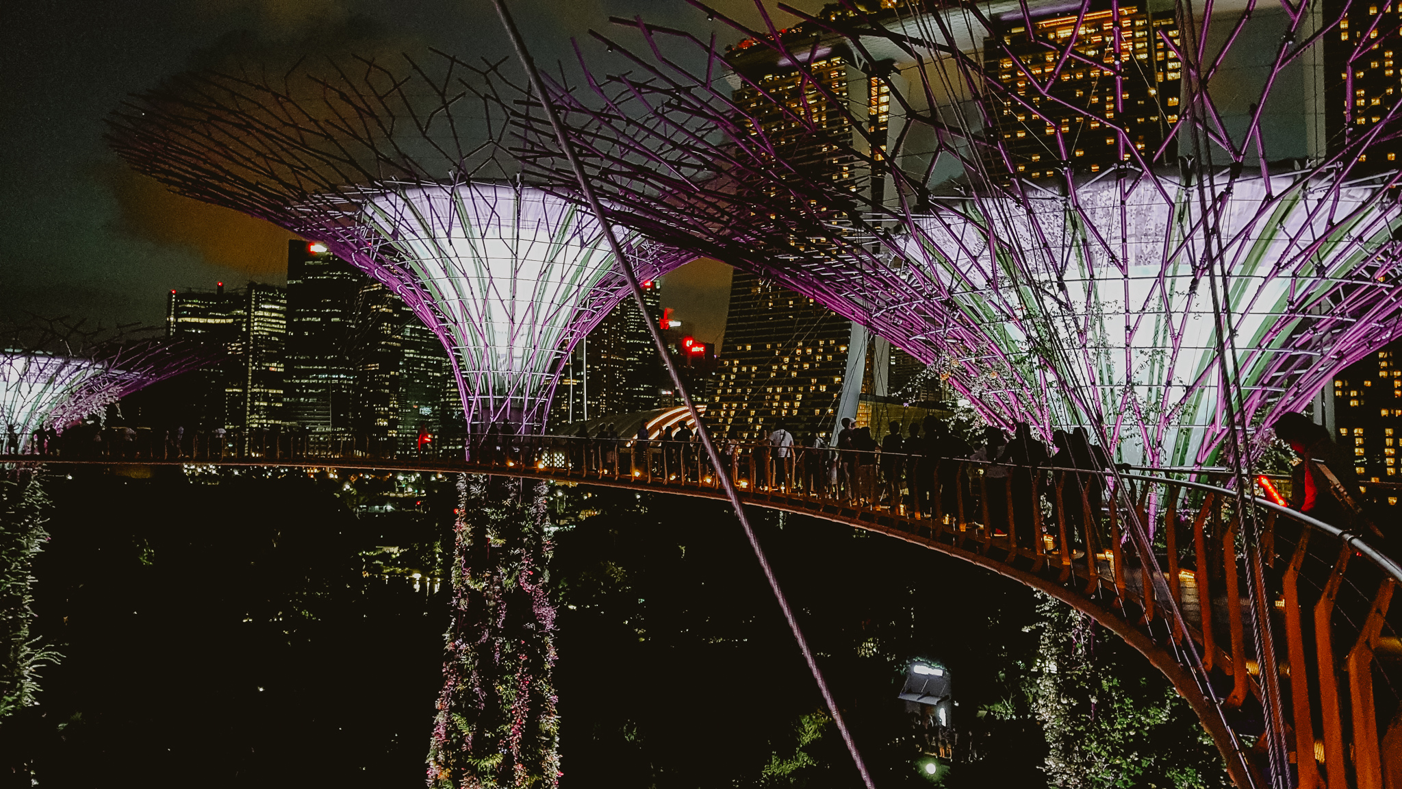 singapur garden night 