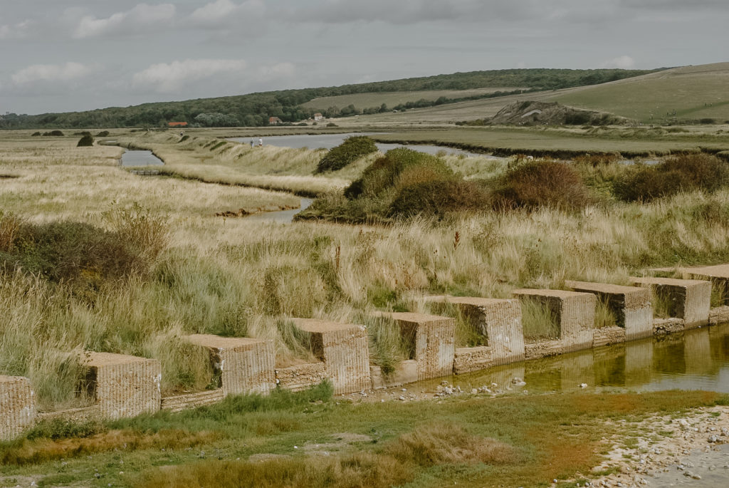 Cuckmere anglia