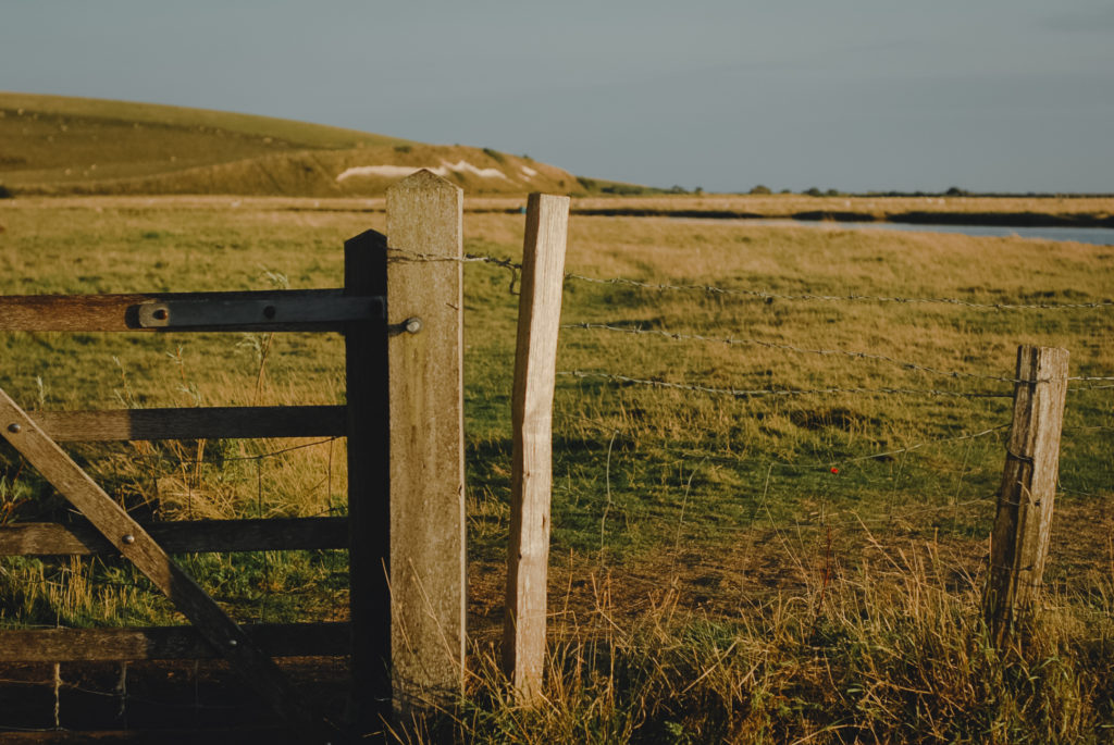 Cuckmere
